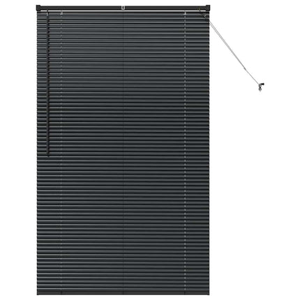 Persienner Svart 175 x 100 cm Aluminium