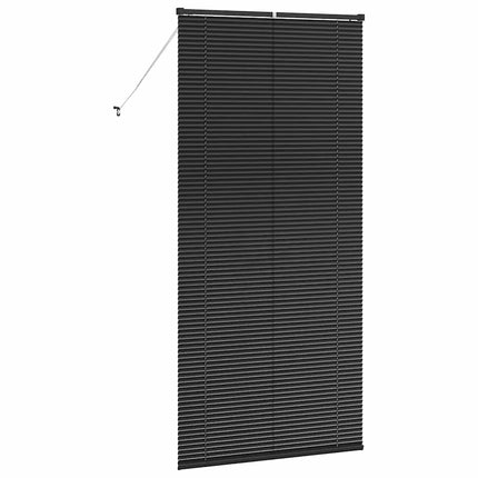 Persienner Svart 220 x 100 cm Aluminium