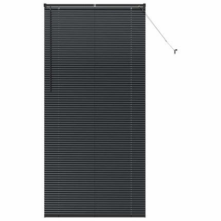 Persienner Svart 220 x 100 cm Aluminium
