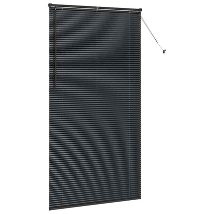 Persienner Svart 220 x 110 cm Aluminium