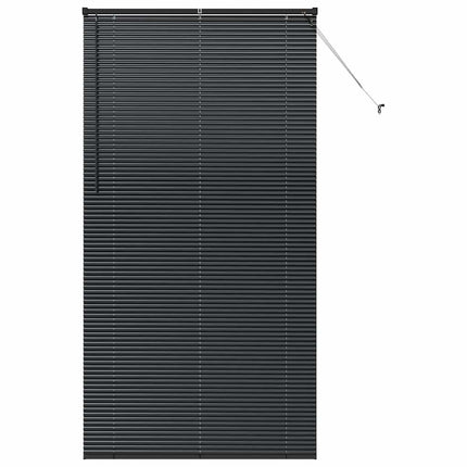 Persienner Svart 220 x 110 cm Aluminium