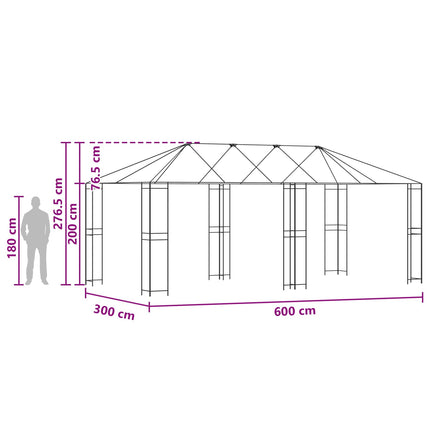 Paviljongram utan paviljongtyg 6 x 3 m Svart Stål