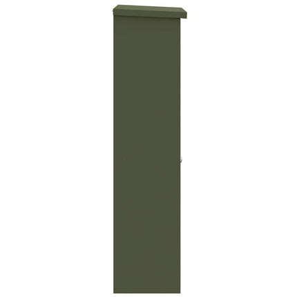 Paketbox med lagring med lås Olivgrön 44,5 x 29 x 110,5 cm Stål