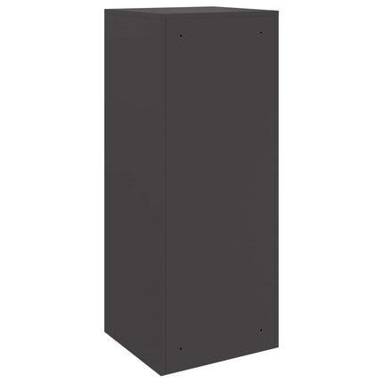 Paketbox med lagring med dörr Svart 41 x 38 x 103 cm Stål