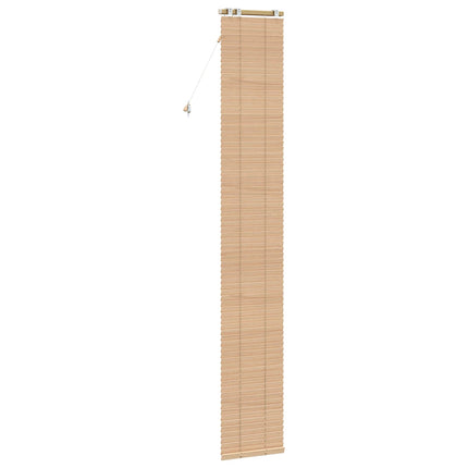 Persienn Eklook 50 x 250 cm 35 mm Massivt Paulownia-trä