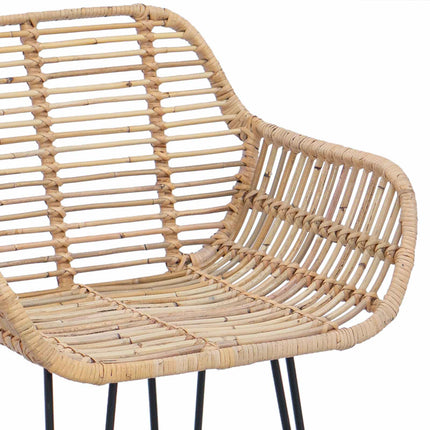 Barstol 2 pcs 55 x 52 x 105 cm Rattan och Järn