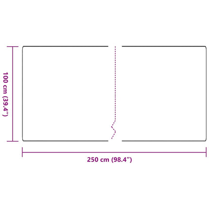 Matta-runner Antracit 100 x 250 cm 100% Polypropen