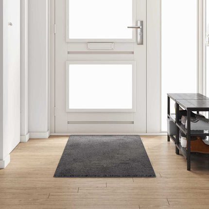 Matta-runner Grå 80 x 250 cm 100% Polypropen Tuft