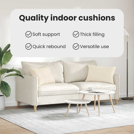Sofakuddar 2 pcs Beige 60 x 40 cm tyg