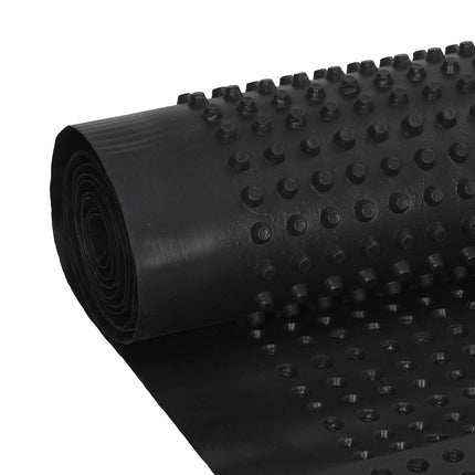 Prickig Avvattningsskiva 2 pcs Svart 0,5 x 20 m HDPE