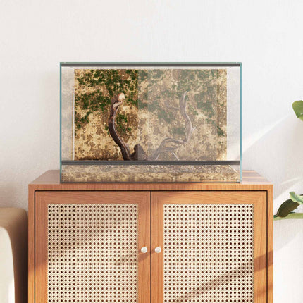 Terrarium med lagring Transparent 60 x 40 x 40 cm Glas
