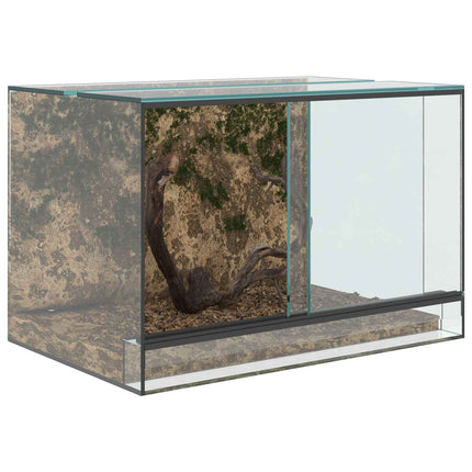Terrarium med lagring Transparent 60 x 40 x 40 cm Glas