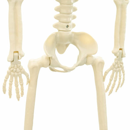 Halloween skelett 2 pcs Vit 85 cm PVC