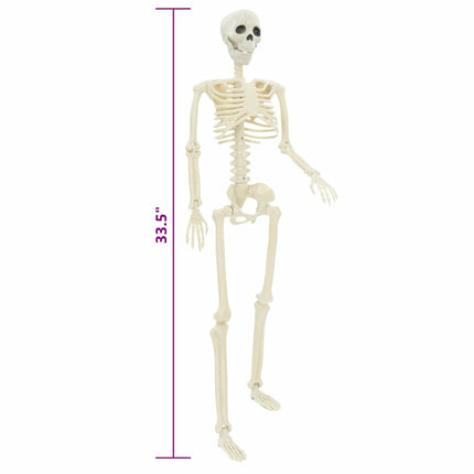 Halloween skelett 2 st Vit 85 cm PVC