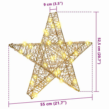 3D Stjärna med 50 LED-lampor Varmvit 55 x 52,5 x 9 cm PET