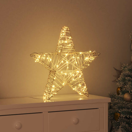 3D Stjärna med 50 LED-lampor Varmvit 55 x 52,5 x 9 cm Rotting