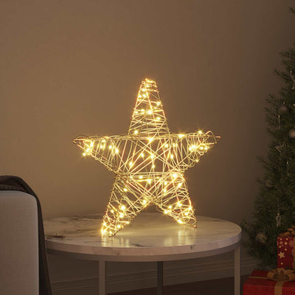 3D Stjärna med 50 LED-lampor Varmvit 55 x 52,5 x 9 cm Rotting