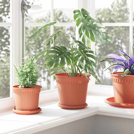 Rund Blomkruka 6 pcs Murgrön Ø 19 x 16 cm Plast