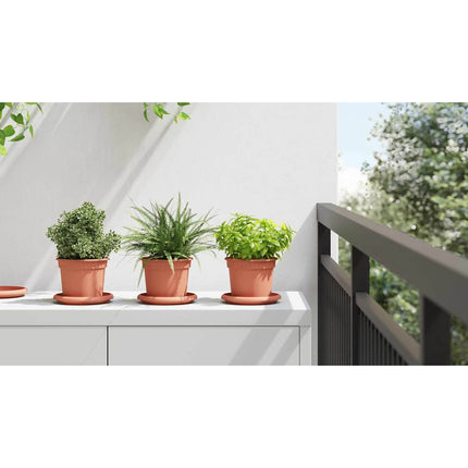 Rund Blomkruka 24 st Murgrön Ø 12,5 x 10 cm Plast