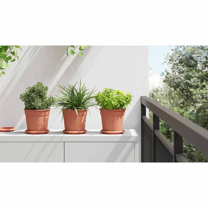 Rund Blomkruka 24 st Murgrön Ø 17 x 14 cm Plast
