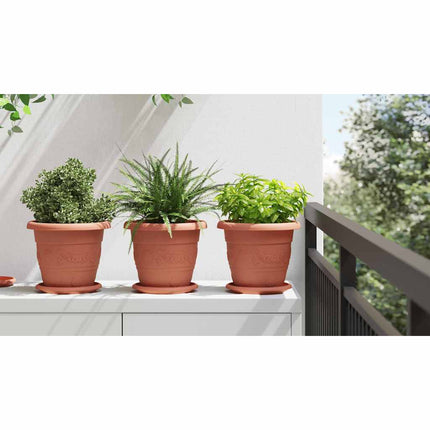 Rund Blomkruka 6 st Murgrön Ø 22 x 18 cm Plast
