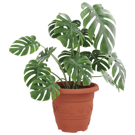Rund Blomkruka 6 st Murgrön Ø 30 x 25 cm Plast