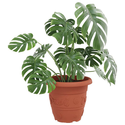 Rund Blomkruka 6 pcs Murgrön Ø 39 x 32 cm Plast