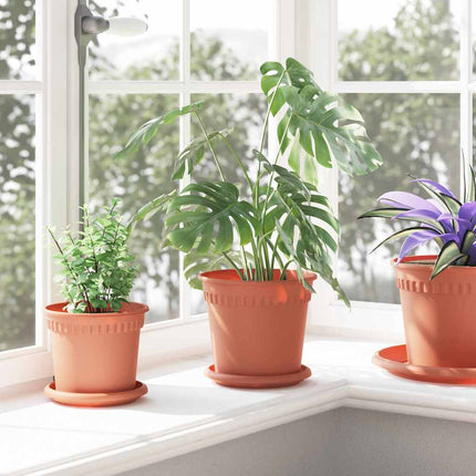 Rund Blomkruka 6 pcs Murgrön Ø 14 x 2 cm Plast