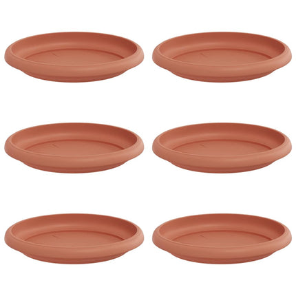 Rund Blomkruka 6 pcs Murgrön Ø 14 x 2 cm Plast