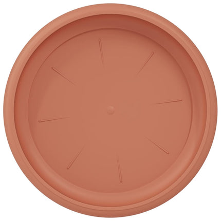 Rund Blomkruka 6 pcs Murgrön Ø 14 x 2 cm Plast