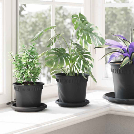Rund Blomkruka 6 pcs Svart Ø 14 x 2 cm Plast