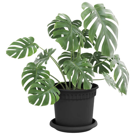 Rund Blomkruka 6 pcs Svart Ø 15,5 x 2 cm Plast