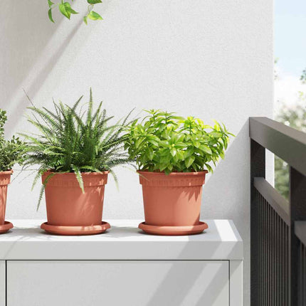 Rund Blomkruka 24 pcs Murgrön Ø 14 x 2 cm Plast