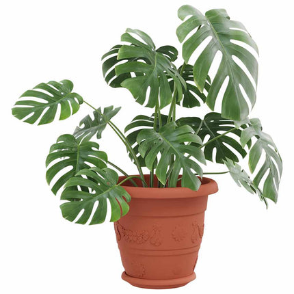 Rund Blomkruka 24 pcs Murgrön Ø 14 x 2 cm Plast