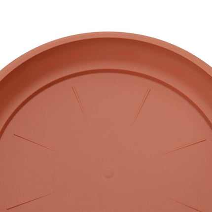 Rund Blomkruka 24 pcs Murgrön Ø 23,5 x 2,5 cm Plast