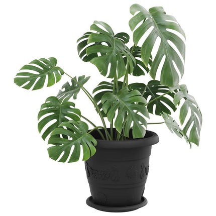 Rund Blomkruka 24 pcs Svart Ø 19 x 2 cm Plast