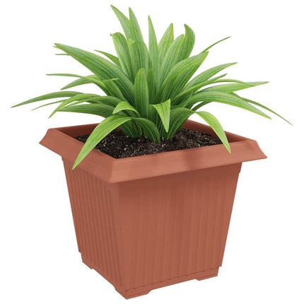 Kvadratisk Blomkruka 6 pcs Murgrön 33 x 33 x 26 cm Plast