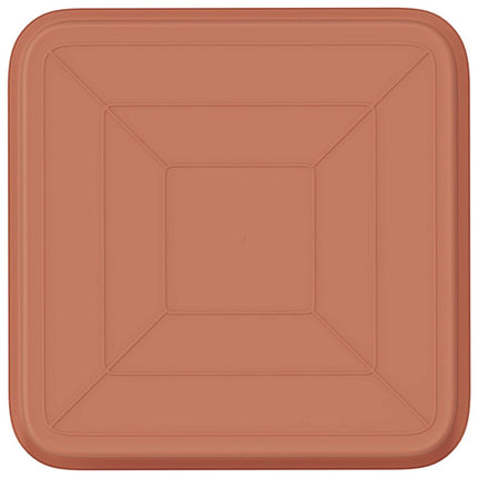 Fyrkantig Blomkruka 6 pcs Murgrön 15 x 15 x 2 cm Plast