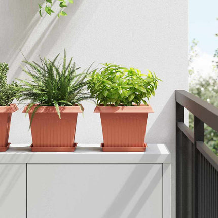 Fyrkantig Blomkruka 6 pcs Murgrön 18 x 18 x 2 cm Plast