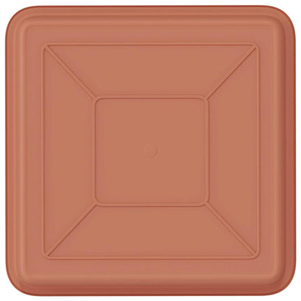Fyrkantig Blomkruka 6 pcs Murgrön 18 x 18 x 2 cm Plast
