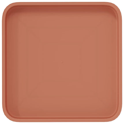 Fyrkantig Blomkruka 6 pcs Murgrön 25,5 x 25,5 x 2,5 cm Plast