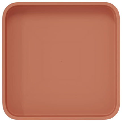 Fyrkantig Blomkruka 24 pcs Murgrön 15 x 15 x 2 cm Plast