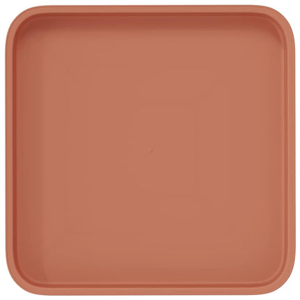 Fyrkantig Blomkruka 24 pcs Murgrön 21 x 21 x 2 cm Plast