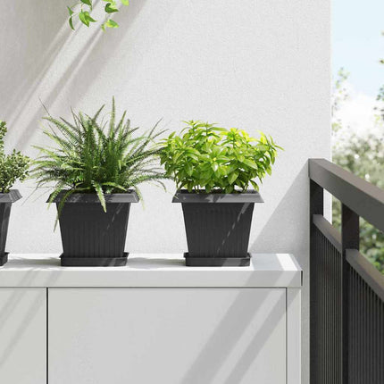 Fyrkantig Blomkruka 24 pcs Svart 15 x 15 x 2 cm Plast