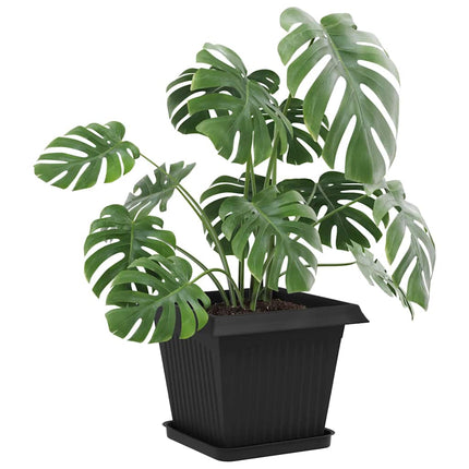 Fyrkantig Blomkruka 24 pcs Svart 25,5 x 25,5 x 2,5 cm Plast