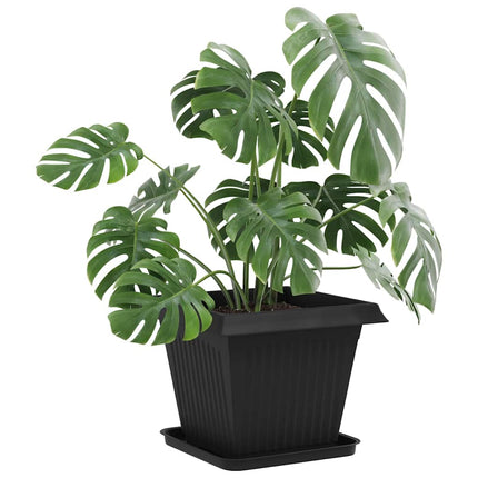 Fyrkantig Blomkruka 24 st Svart 32 x 32 x 2,5 cm Plast