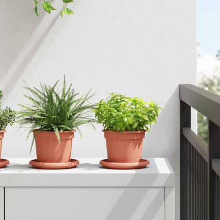 Växtkrukor 6 pcs Murgrön Ø 12,5 x 10 cm Plast