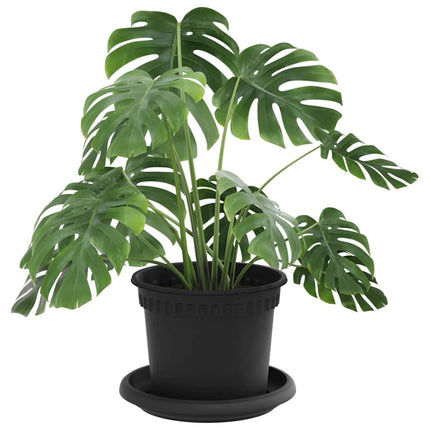Växtkrukor 24 pcs Svart Ø 12,5 x 10 cm Plast