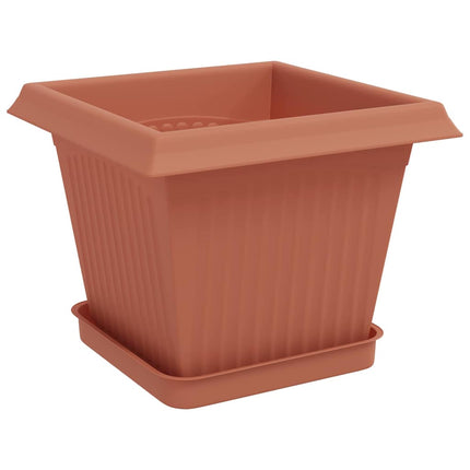 Växtkrukor 6 pcs Murgrön 20 x 20 x 16 cm Plast