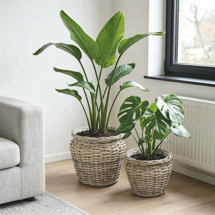 Planteringskorg med lagring GENDT 2 st Naturlig grå Kubu Rattan
